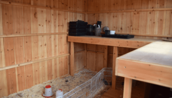 A straw-lined floor with metal grate run inside a timber shed, with workbench to the right.